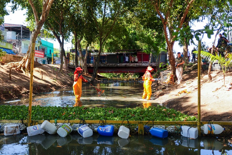 Ecobarreiras vão ajudar na recuperação dos ecossistemas e proteção